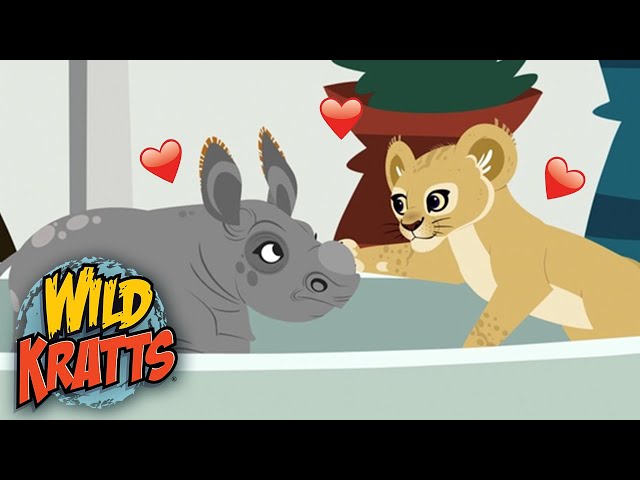 Wild Kratts 🦁🦏 CUTE Baby Animals! | Kids Videos