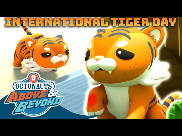 Octonauts: Above & Beyond - 🐯 International Tiger Day 🐯 | Compilation | @Octonauts​