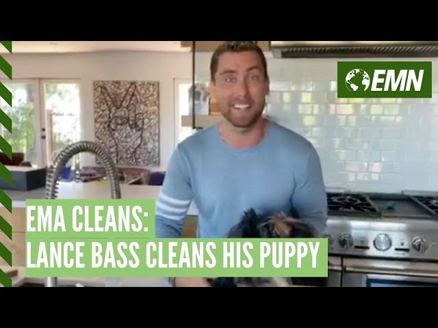 Lance Bass Cleans His Pup