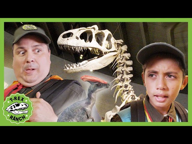 NEW! ALF Museum of Paleontology | T-Rex Ranch Dinosaur Videos
