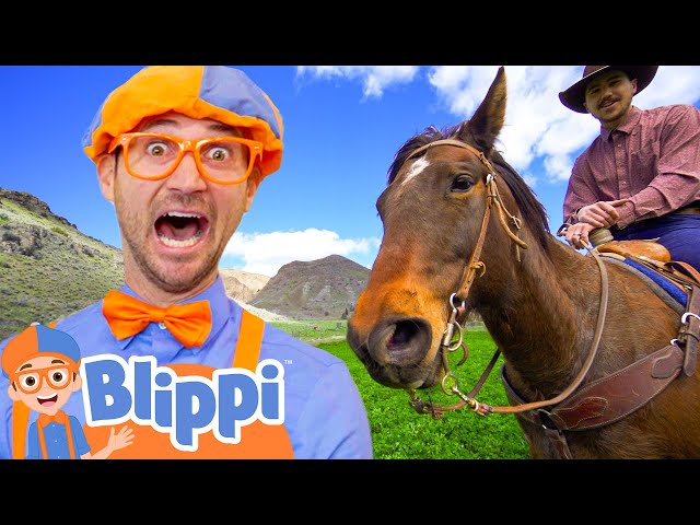 Blippi Visits a Ranch! | Blippi Full Episodes | Animal Videos for Kids | Blippi Toys