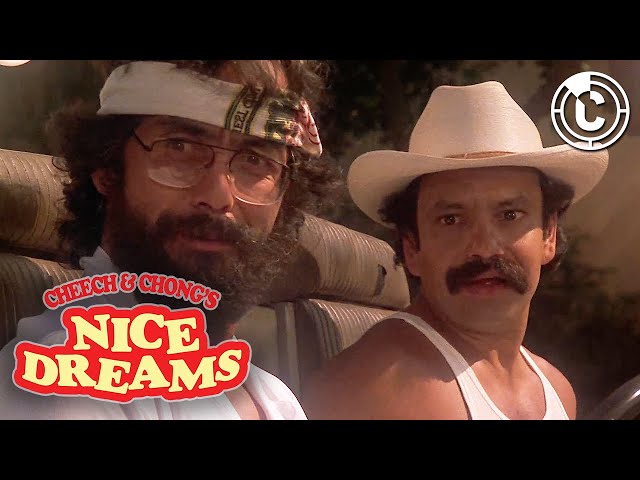 How Much Money?! | Cheech and Chong’s Nice Dreams | CineClips