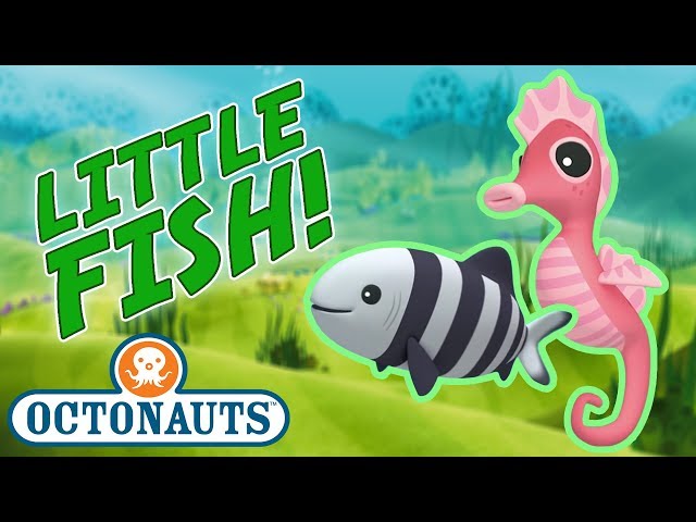 Octonauts - Learn about Little Fish | Cartoons for Kids | Underwater Sea Education