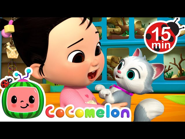 Cece Had a Little Cat | CoComelon - Cece Time | Nursery Rhymes for Babies