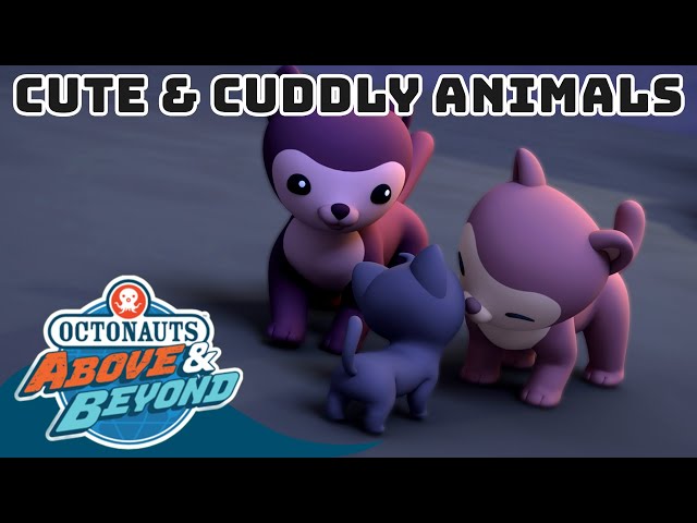 Octonauts: Above & Beyond - Cuddly Animals 🐾 | Land Adventures | @Octonauts