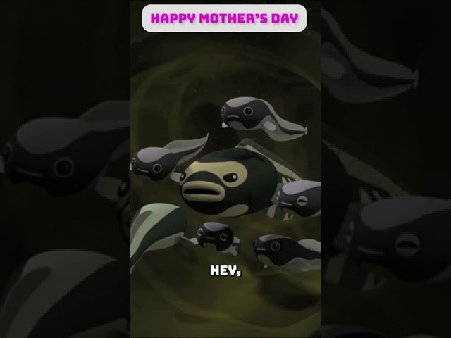 Don't ever mess with momma  | Underwater Sea Education | #shorts #octonauts #mothersday