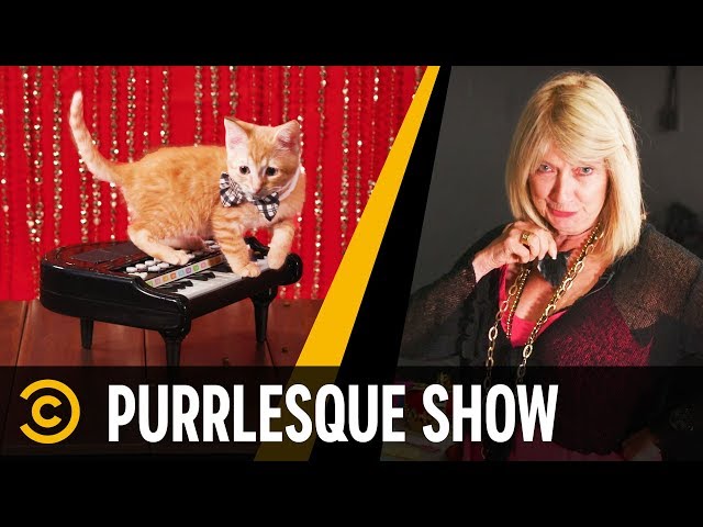 Purrlesque Entertainment: Kitten Dancers - Mini-Mocks