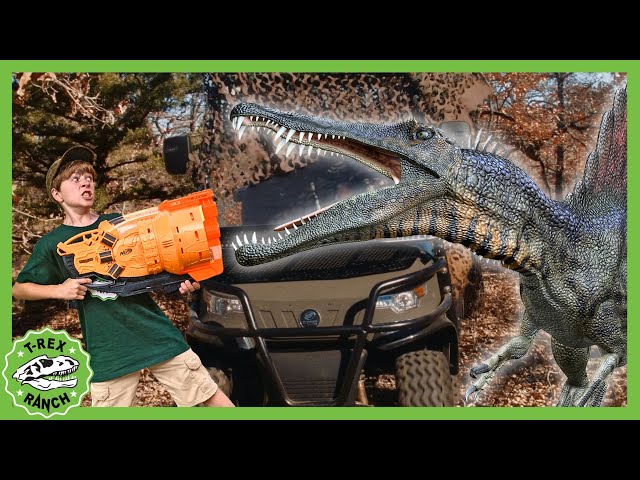 Can You Find the Mommy T-Rex?! | T-Rex Ranch Dinosaur Videos