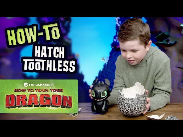 How To Train Your Dragon How To Play With Toothless