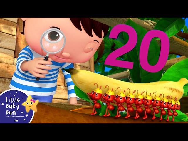 Count To 20 & Number Songs ⭐Little Baby Bum - Nursery Rhymes for Kids | Baby Song 123