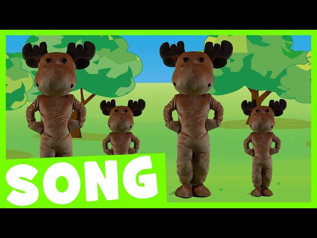 Big / Little | Adjectives Song for Kids