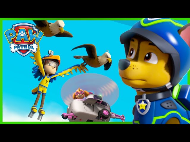 Skye and Chase save Daring Danny from a family of Eagles! - PAW Patrol Episode - Cartoons for Kids
