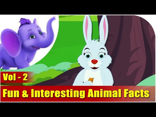 Fun & Interesting Animal Facts - Vol 2