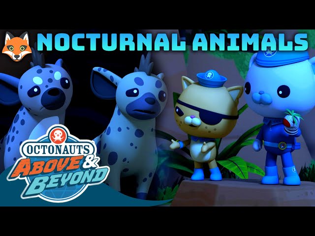 Octonauts: Above & Beyond - ✨ Nocturnal Animals 🦊 | Compilation | @Octonauts​