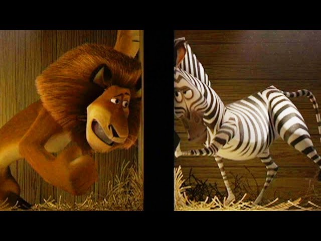 DreamWorks Madagascar | Zoo Transfer - Shipped to Africa Movie Clip | Kids Movies