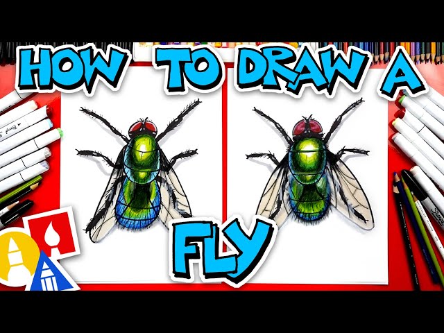 How To Draw A Realistic Fly