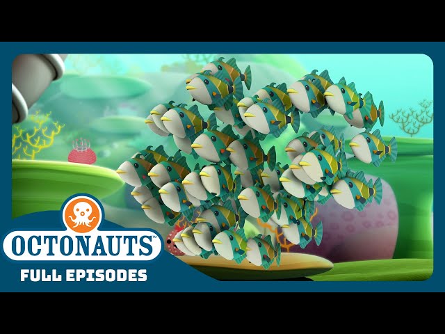 @Octonauts - 🐠 The Humuhumunukunukuapua’a 🐠 | Season 1 | Full Episodes | Cartoons for Kids