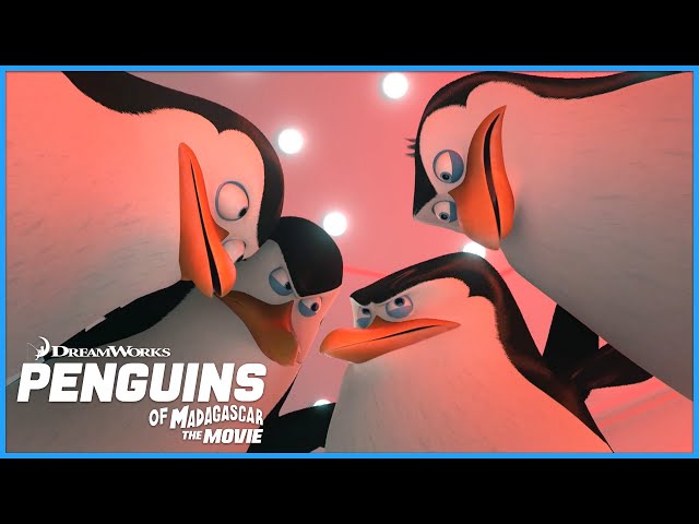 The Penguins' Plan | DreamWorks Madagascar