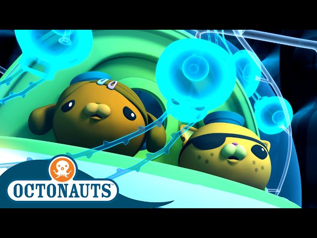 @Octonauts - Lair of the Siphonophore | Series 3 | Full Episode 1 | Cartoons for Kids