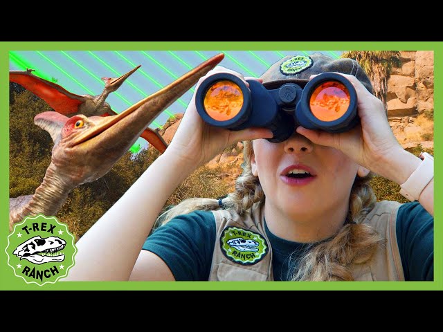 NEW! Laser Fence Keeps the Dinosaurs Out - Song! T-Rex Ranch Dinosaur Videos