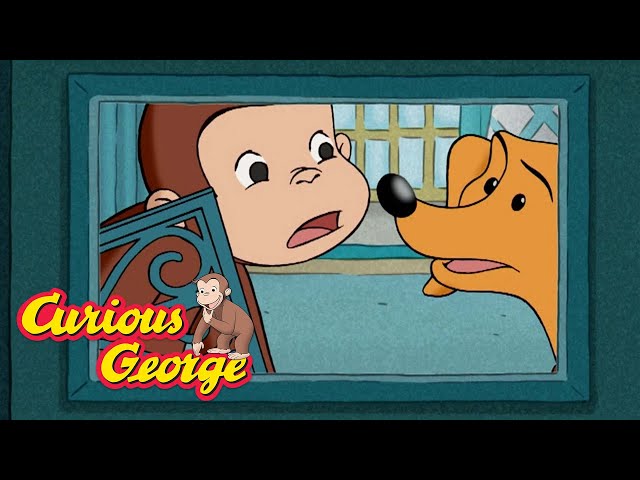 Kitten on the Loose! 🐵 Curious George 🐵 Kids Cartoon 🐵 Kids Movies 🐵 Videos for Kids