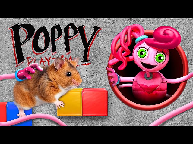 Opila Bird vs Mommy Long Legs! Hamster Escape from Garten of BanBan and Poppy Playtime Mazes