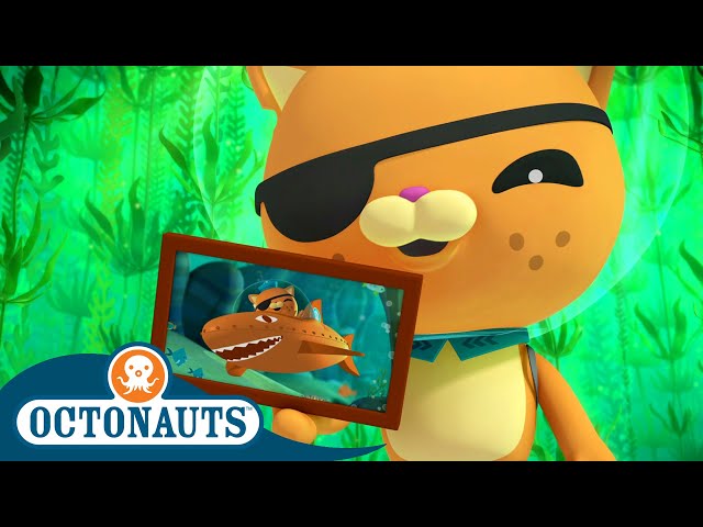 @Octonauts -  🌿 The Giant Kelp Forest 🌱 | Season 1 | Full Episodes | Cartoons for Kids