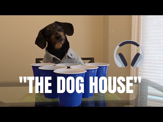 Welcome to The Dog House [Music Video]