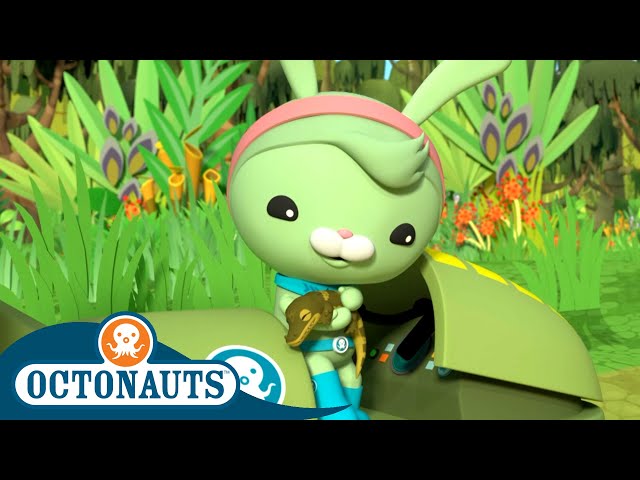​@Octonauts - The Great Swamp Adventure | Father's Day Special: Part 1 | Full Episodes