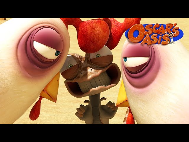 Chickens on the Loose! | Oscar’s Oasis | Funny Cartoons for Kids