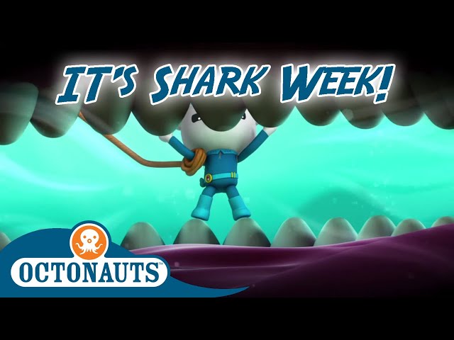 Octonauts - Shark Encounters | Cartoons for Kids | It's Shark Week!