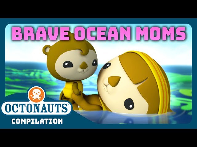 @Octonauts - 🦸‍♀️ BRAVE Ocean Moms  🌊 | 2 Hours+ Full Episodes Marathon | 🧑‍🍼 Mother's Day 🌸