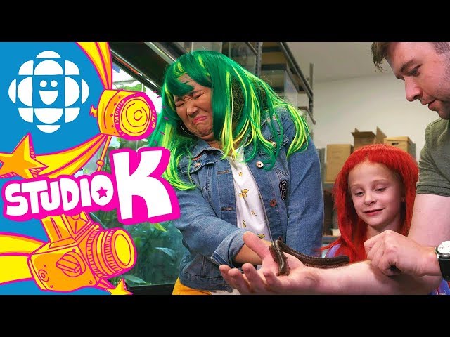 Wigging Out Over Bugs | CBC Kids