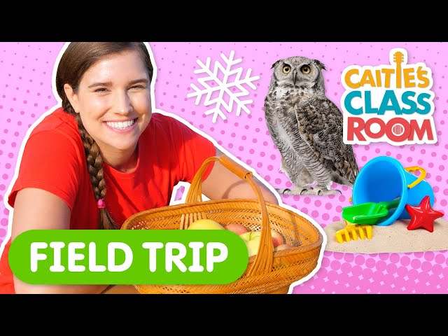 Happy Earth Day! Field Trips from Caitie Classroom: Caitie Explores The Great Outdoors!
