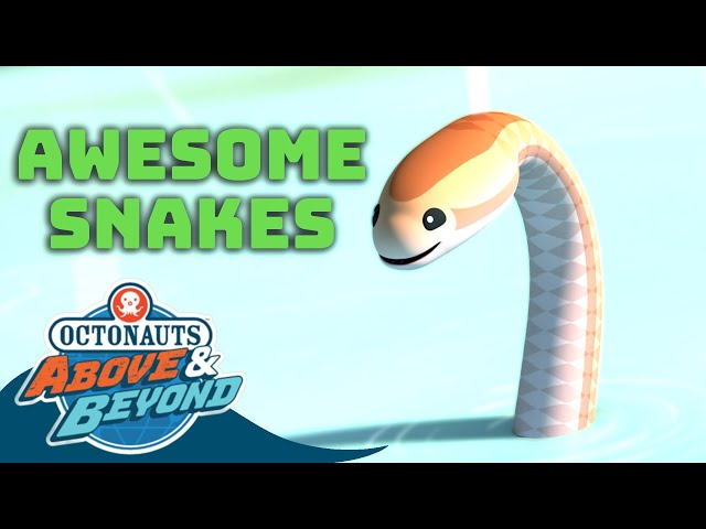Octonauts: Above & Beyond - Awesome Snakes 🐍 | Land Adventures | @Octonauts