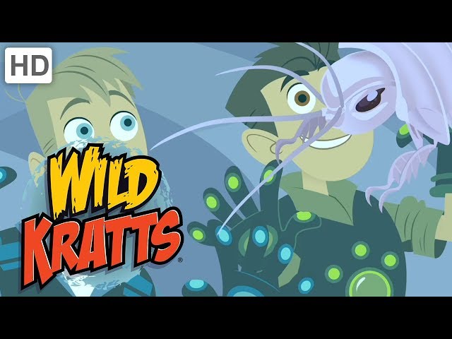Wild Kratts 🦉🐙 Incredible Creatures! (Part 2) | Kids Videos