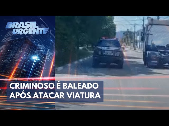 Criminoso é baleado após atacar viatura no litoral de São Paulo | Brasil Urgente