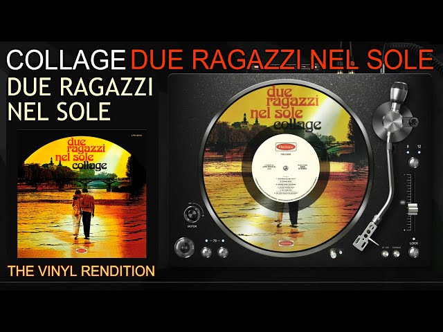 COLLAGE: Due ragazzi nel sole  | The Vinyl Rendition
