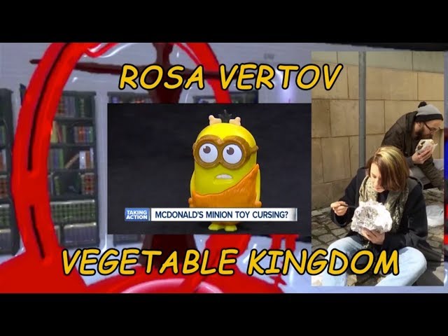 Rosa Vertov med Vegetable Kingdom Trasa TOUR 2017 Jesień