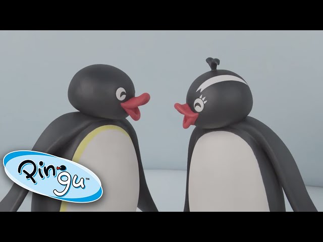 Pingu And His Friends Have Fun In The Snow! @Pingu | Pingu in the City