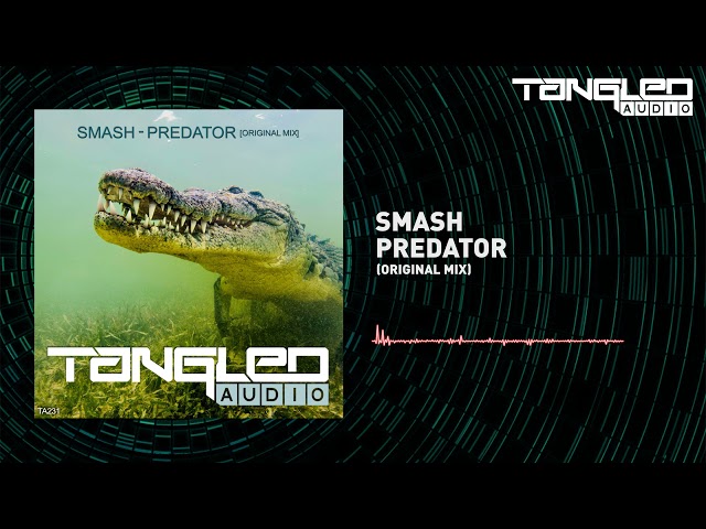 Smash - Predator [Trance / Hard]