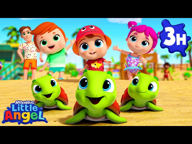Turtles Rescue Squad | Little Angel | Nursery Rhymes for Babies