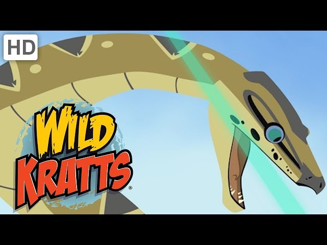 Wild Kratts - The Roughest, Toughest Animals in the Wild | Kids Videos