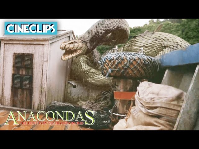 Anaconda Boat Attack | Anacondas: The Hunt For The Blood Orchid