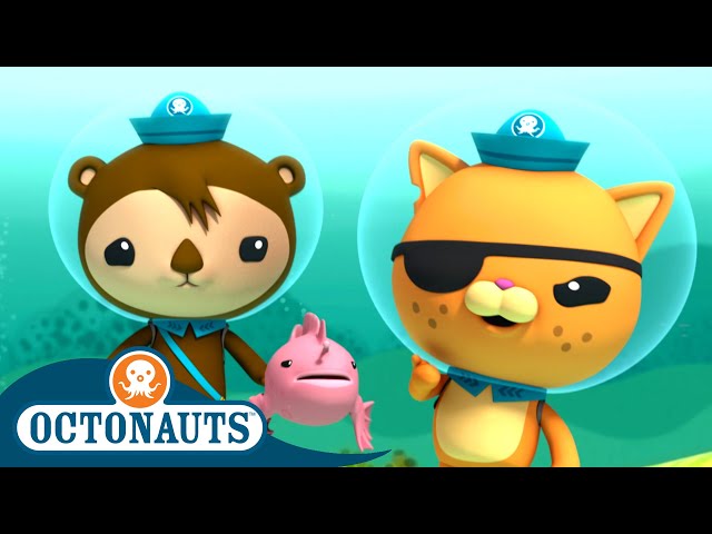 @Octonauts - The Artificial Reef Rescue Operation 🐠 | Season 3 | Cartoons for Kids