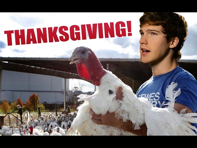 Tanner Patrick - When We Were Young (Adele Cover) [Behind The Scenes + Thanksgiving!]