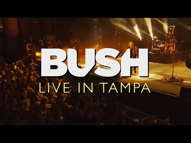 Bush - 'Live In Tampa' Official Trailer