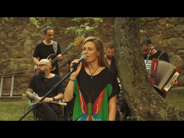 MIKROMUSIC Kołysanka Pani Broni  (Mikromusic z Dolnej Półki - Official Acoustic Live Video)