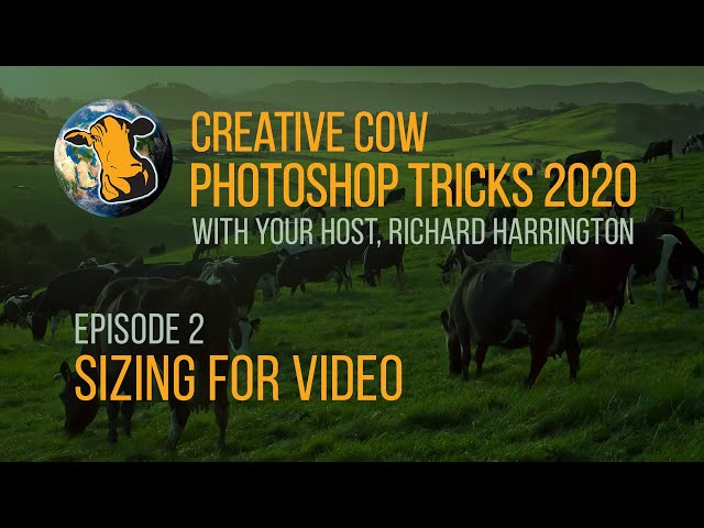 02 - Adobe Photoshop Tricks 2020 with Richard Harrington - Sizing For Video