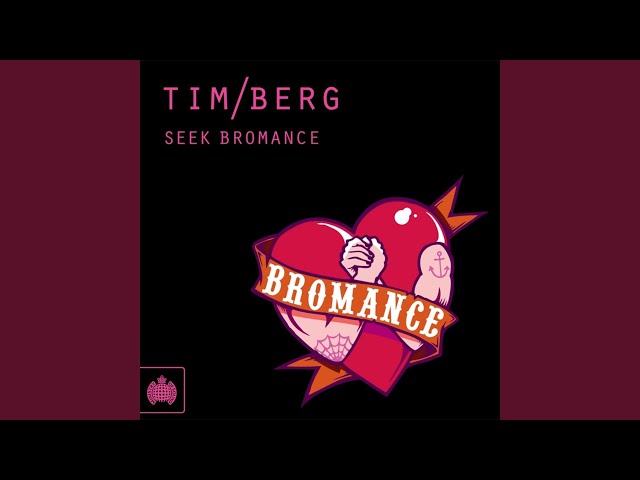 Seek Bromance (Avicii’s Vocal Edit)